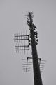 Antennen am Mast; oben die Schmetterlingsantennen für UKW, direkt darunter die Yagi für DLF, folgend die Mobilfunkantennen und unten die Empfangsantennen vom Brotjacklriegel (nach links) und Untersberg (nach hinten)