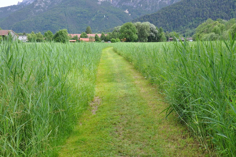 Datei:REI-Weg Poschengrund.JPG
