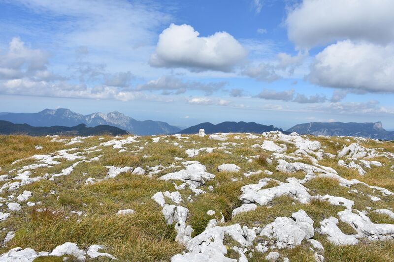 Datei:Hohes Gerstfeld-Gipfel.JPG