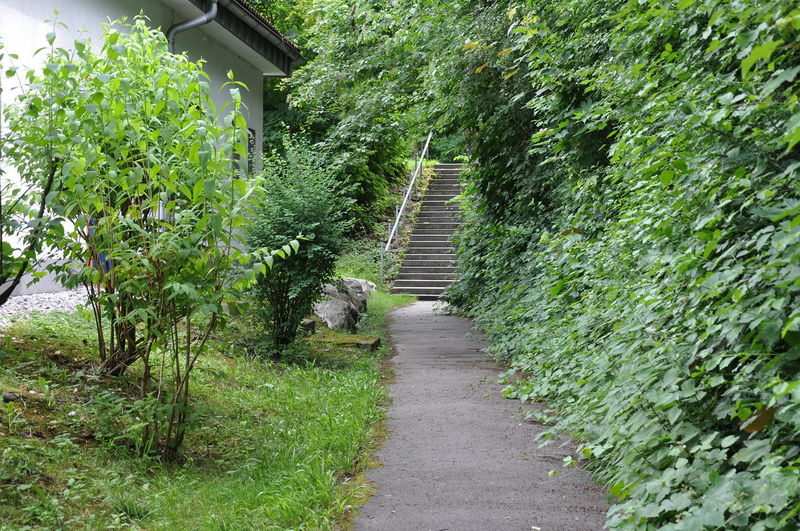 Datei:REI-Fürschlachtweg-Treppe.JPG