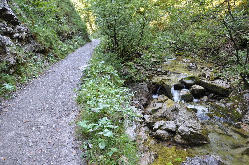 Datei:Waldbahnweg-Vordere Schwarzache.JPG