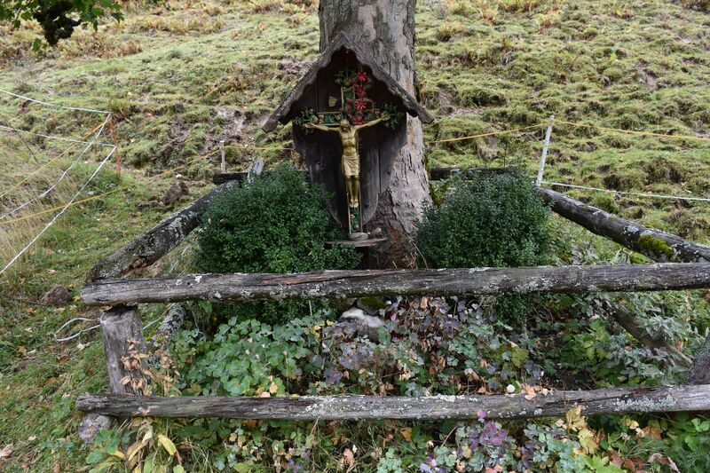 Datei:Steineralmkreuz-Umzäunung.JPG