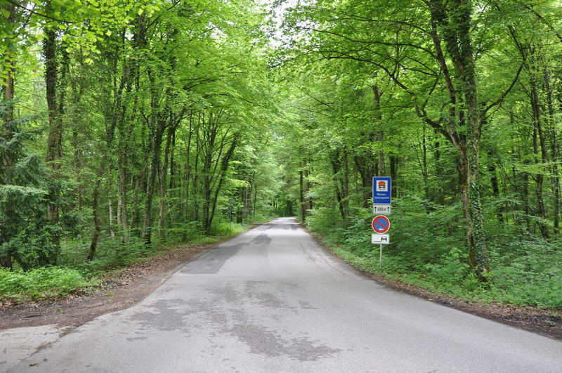 Datei:REI-Straße zum Nonner Unterland.JPG